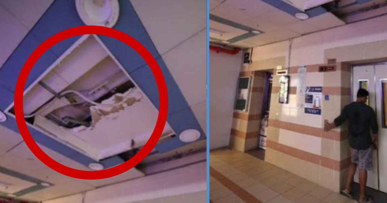 Rat Suspect There’s a Big Hole on the Ceiling of an AMK HDB Lift Lobby; Residents ...