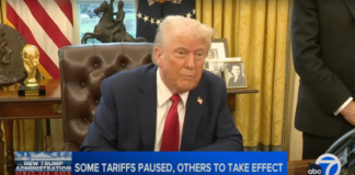 donald-trump-pause-tariffs-mexico-canada