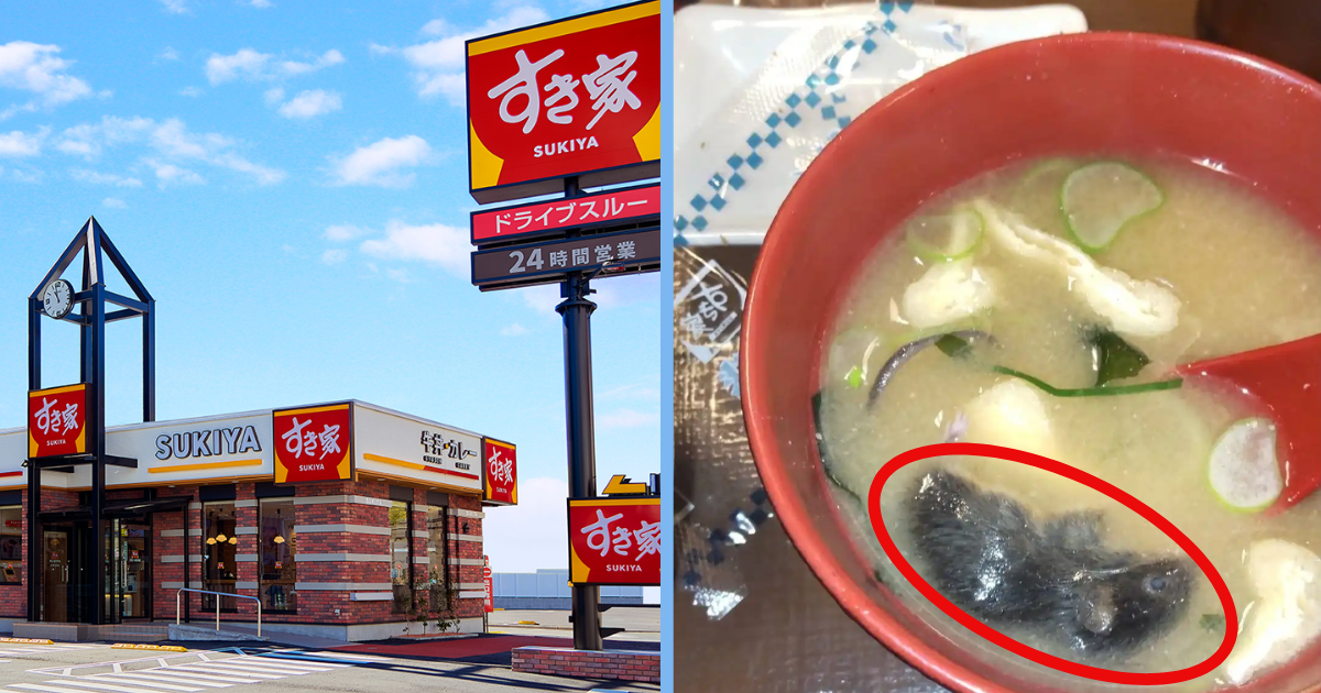 Japan's Largest Beef Bowl Chain Temporarily Closes 2,000 Outlets after ...