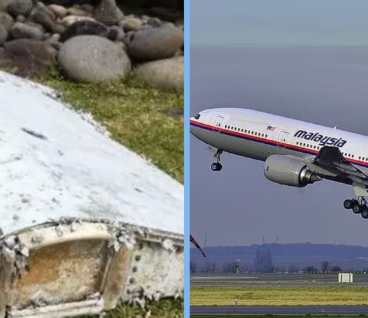 mh370-search-suspended