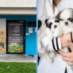 dog-breeder-fined-unsafe