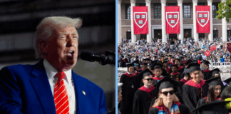 harvard-ban-extends