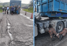 singaporean-cyclist-dies-johor-pothole