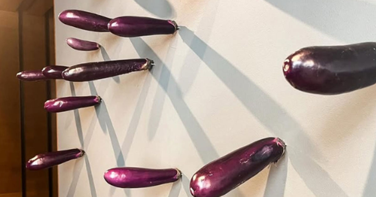 Visitors Steal Eggplants from National Gallery Singapore's Phallic Installation Since July Opening