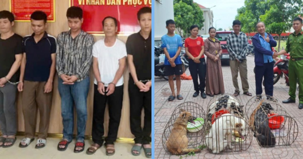 Vietnamese Men Allegedly Steal Over 50 Dogs for Meat, Face Criminal ...
