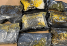 cnb-global-drug-syndicate