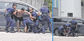 man-tries-bite-police-officers