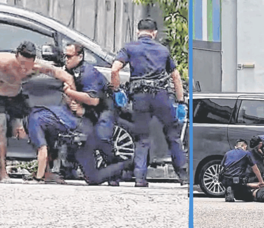 man-tries-bite-police-officers