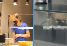rat-sit-campus-food-court