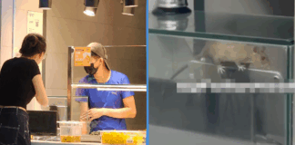 rat-sit-campus-food-court