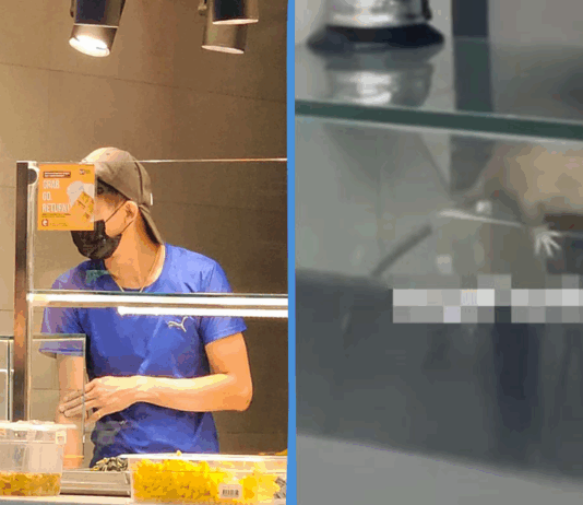 rat-sit-campus-food-court
