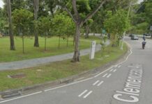29-Year-Old Woman Found Dead on Grass Patch Along Clemenceau Ave; No Foul Play Suspected
