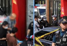 Pizza Restaurant Owner Stabs Three Dead with Kitchen Knife in South Korea