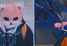 Cat-Masked Woman Dual Wields Knives in South Korean Supermarket, ‘Meows’ at Police
