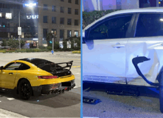 drunk-driver-asleep-accident