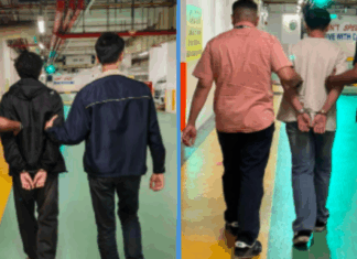 Police Arrest 24 After Victim Loses $1.1 Million to Scammers Impersonating MAS Officers police-arrest-24-scam-mas-officers
