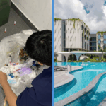 village-hotel-sentosa-steal-cash-taiwanese