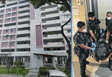 75-Year-Old Woman Found Dead in Bedok Flat After Relatives Detect Foul Odour woman-elderly-dead-bedok