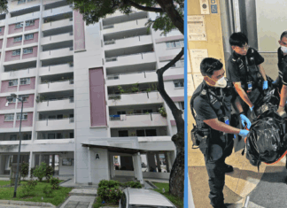 woman-elderly-dead-bedok