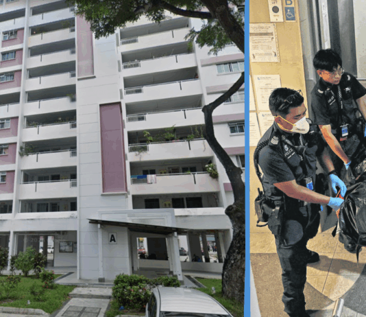 woman-elderly-dead-bedok