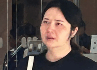 Chinese National Jailed 8 Weeks for Working 5 Years under Fake Identity in Singapore chinese-woman-fraud-identity