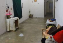 Malaysian Mother Found Dead with Daughter in Apparent Murder-Suicide, Son Survives