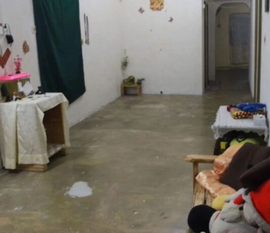 Malaysian Mother Found Dead with Daughter in Apparent Murder-Suicide, Son Survives