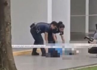 23-Year-Old Woman Found Dead at Hougang Avenue 8 HDB Block
