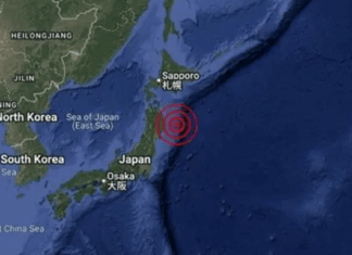 japan-earthquake