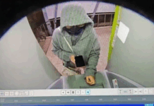 singaporean-woman-scam-syndicate