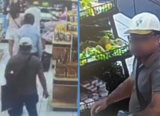 Elderly S’porean Couple Stranded in Johor After Thief Steals Passport and Phone at Skudai Mall