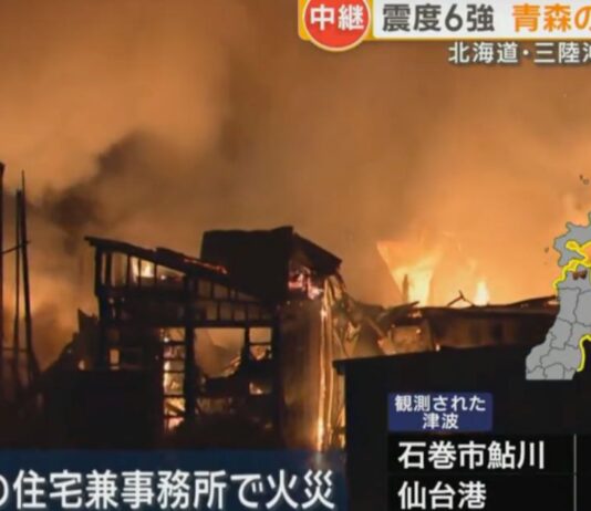 Japan Issues Stark Warning: Up to 199,000 Could Die in Megaquake Tsunami