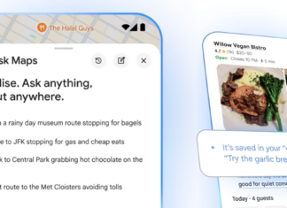 ask-google-maps-feature