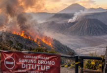 Mount Bromo Completely Closed to Tourists as Wildfire Spreads Across 520 Hectares