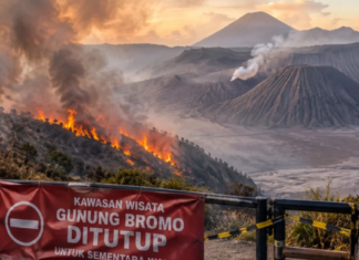 Mount Bromo Completely Closed to Tourists as Wildfire Spreads Across 520 Hectares