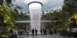Indoor waterfall and forest canopy at Jewel Changi Airport