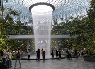 Indoor waterfall and forest canopy at Jewel Changi Airport