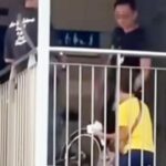Video still of an elderly cyclist in a yellow shirt kneeling before two LTA officers on an Aljunied overhead bridge