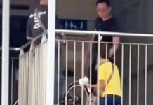Elderly Cyclist Kneels Before LTA Officers on Aljunied Bridge, LTA Says Officers Could Have Been More Sensitive Video still of an elderly cyclist in a yellow shirt kneeling before two LTA officers on an Aljunied overhead bridge