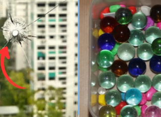 Woodlands Man Allegedly Shot Marbles at Birds With Catapult, Damaging HDB Window