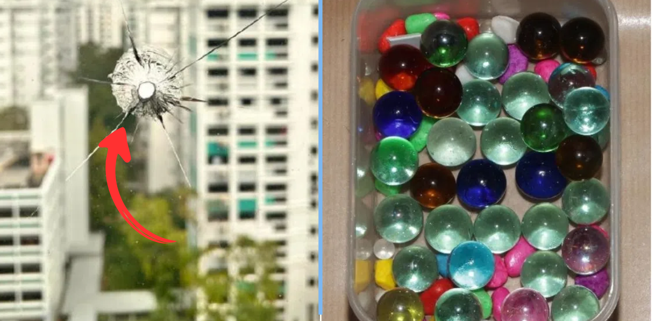 Woodlands Man Allegedly Shot Marbles at Birds With Catapult, Damaging HDB Window