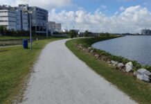 Pandan Reservoir in Singapore, where a crocodile was spotted and water activities have been suspended