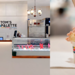 tom-palette-closes