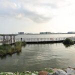 Boardwalk and pavilion over a calm Singapore reservoir with no crocodile visible, used as a non-literal location illustration