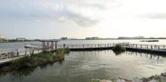 Boardwalk and pavilion over a calm Singapore reservoir with no crocodile visible, used as a non-literal location illustration
