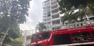 SCDF fire engine and charred unit at Block 254 Ang Mo Kio Avenue 4 fire (SCDF via 8world)