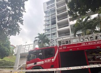 Ang Mo Kio HDB Flat Fire Sends 3 to Hospital, Including Firefighter; About 20 Residents Evacuated SCDF fire engine and charred unit at Block 254 Ang Mo Kio Avenue 4 fire (SCDF via 8world)