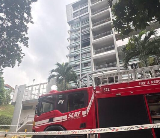 SCDF fire engine and charred unit at Block 254 Ang Mo Kio Avenue 4 fire (SCDF via 8world)