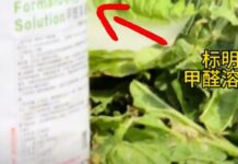 SFA Steps Up Cabbage Testing After Reports of Formaldehyde Use in China Formaldehyde solution labelled next to cabbages, from 8world coverage of the Hebei case