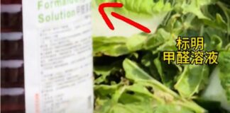 Formaldehyde solution labelled next to cabbages, from 8world coverage of the Hebei case